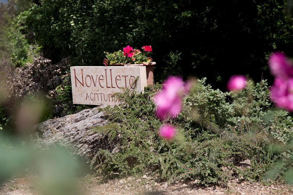 Vila Novelleto Monteriggioni Exteriér fotografie