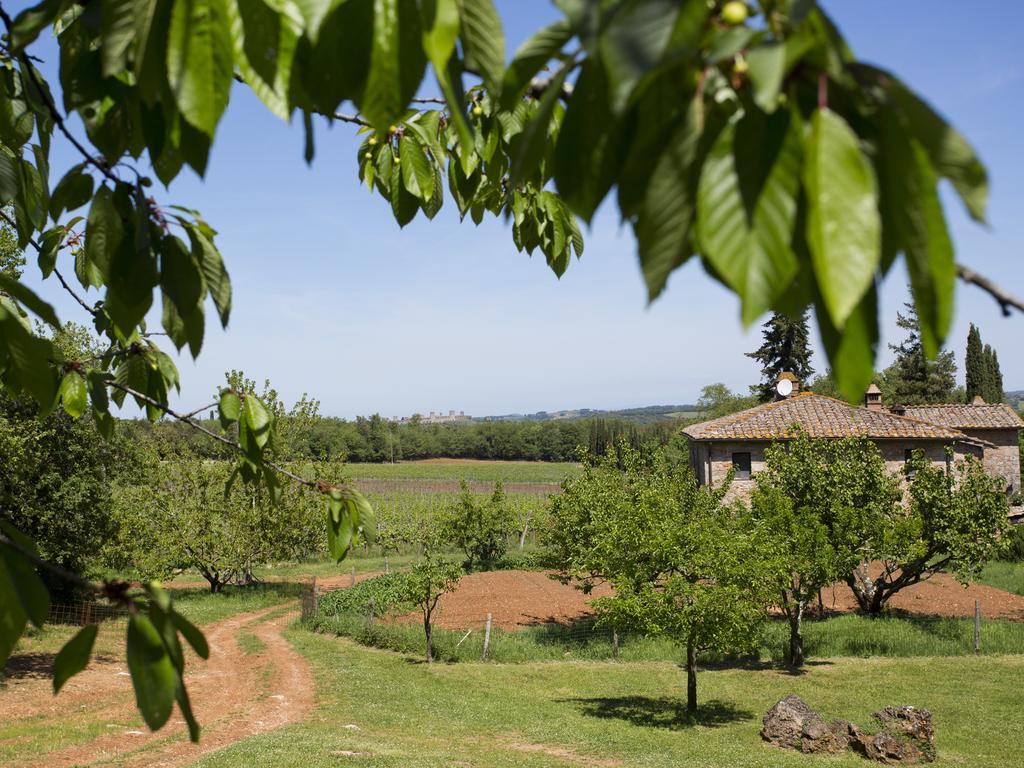 Vila Novelleto Monteriggioni Exteriér fotografie