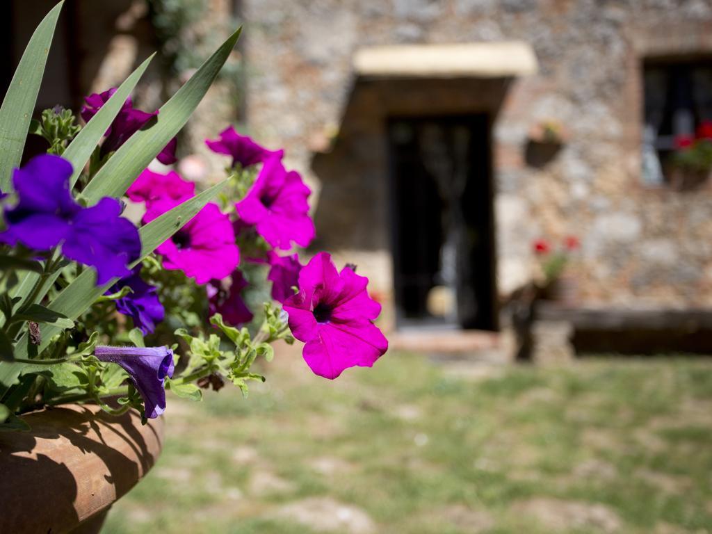 Vila Novelleto Monteriggioni Exteriér fotografie