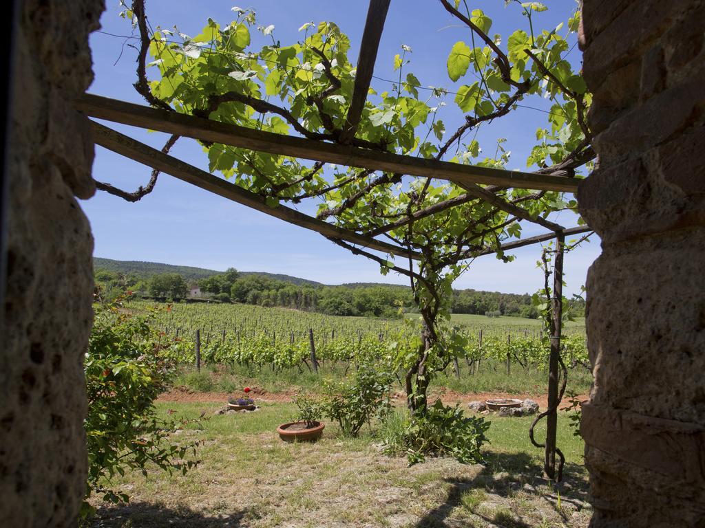Vila Novelleto Monteriggioni Exteriér fotografie