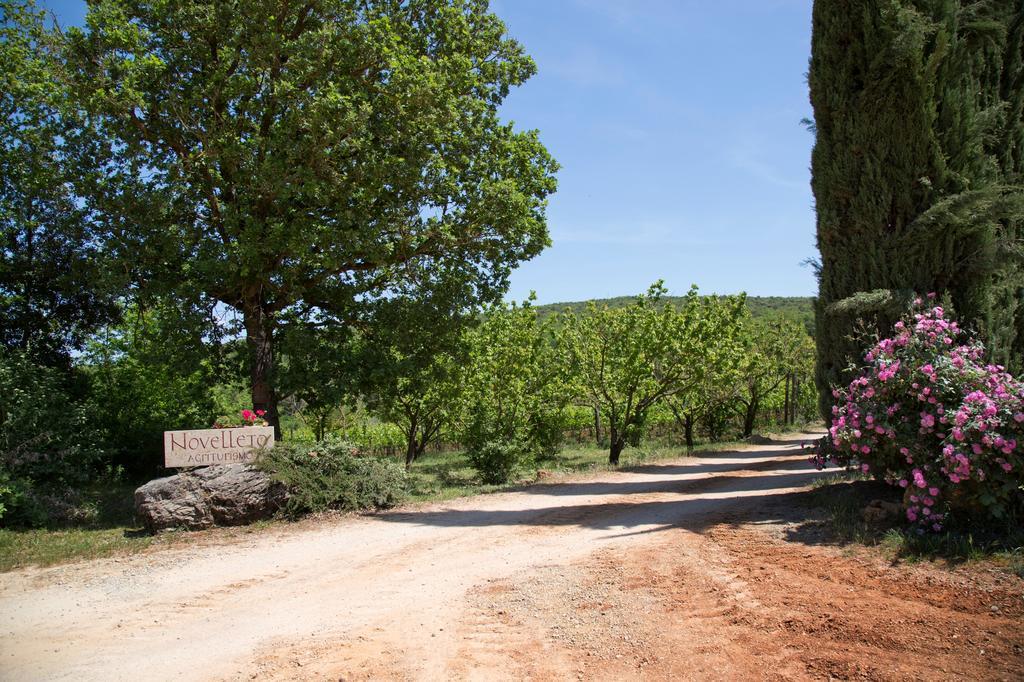 Vila Novelleto Monteriggioni Exteriér fotografie